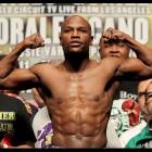 4475位のイメージ